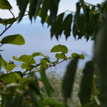 Frlan Ii. Apartmán Kastav