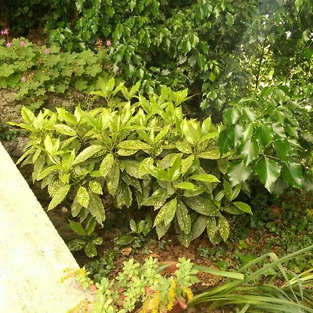 Frlan Ii. Apartmán Kastav