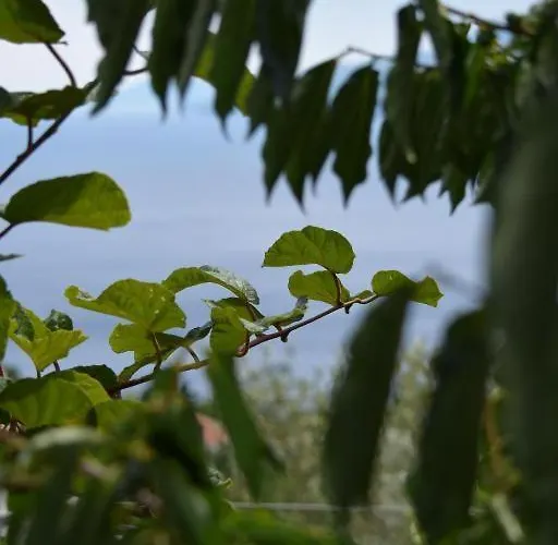 Frlan Ii. Appartamento Kastav