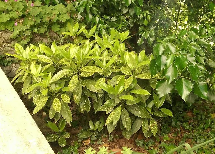 Frlan Ii. Appartamento Kastav